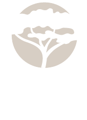 Acacia Wellness